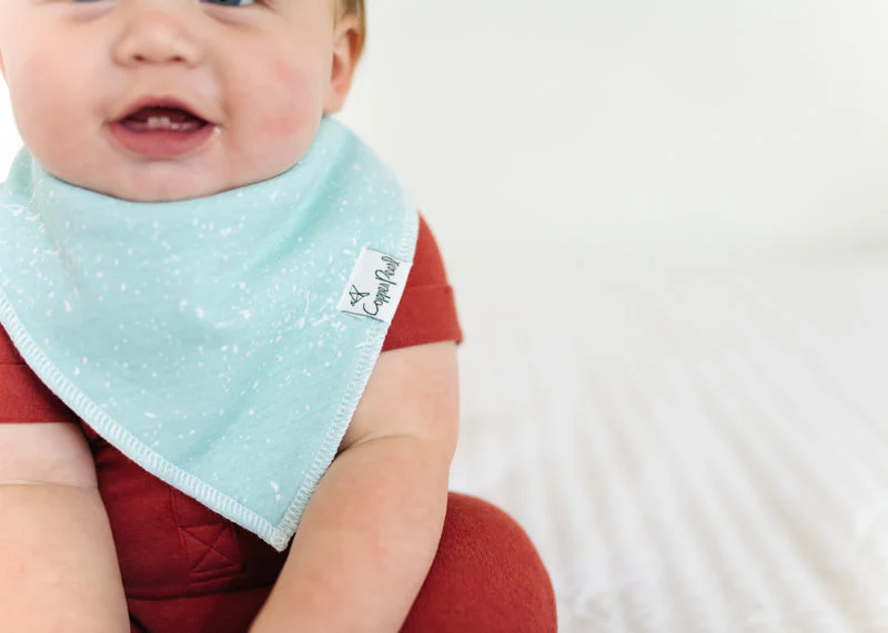 Copper Pearl Bibs Nautical 4Pk - Image 9