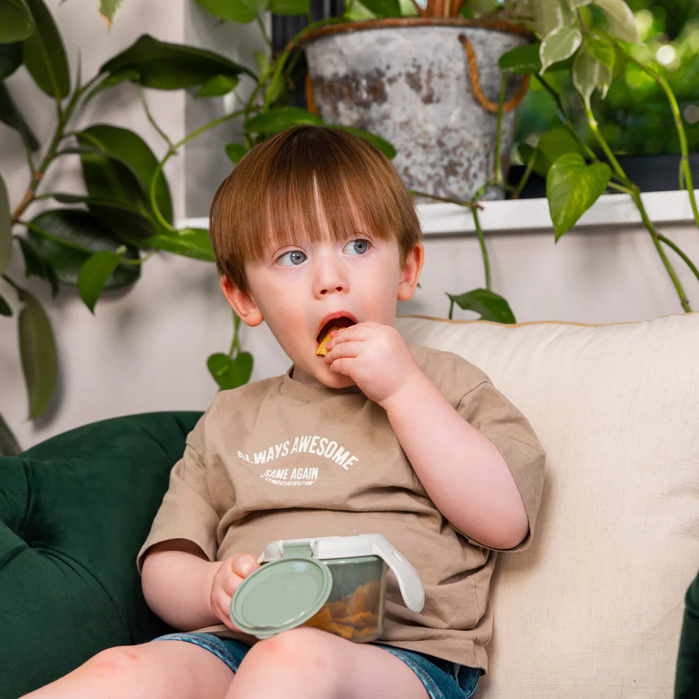 Vital Baby Children's Snack on The Go Pot - Natural Berry - Image 8